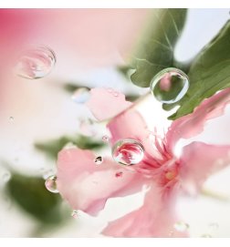 Les Ô de Lancôme Ôver the Top - Eau de Toilette